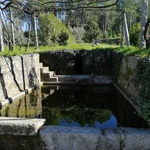 Accommodation photo 13